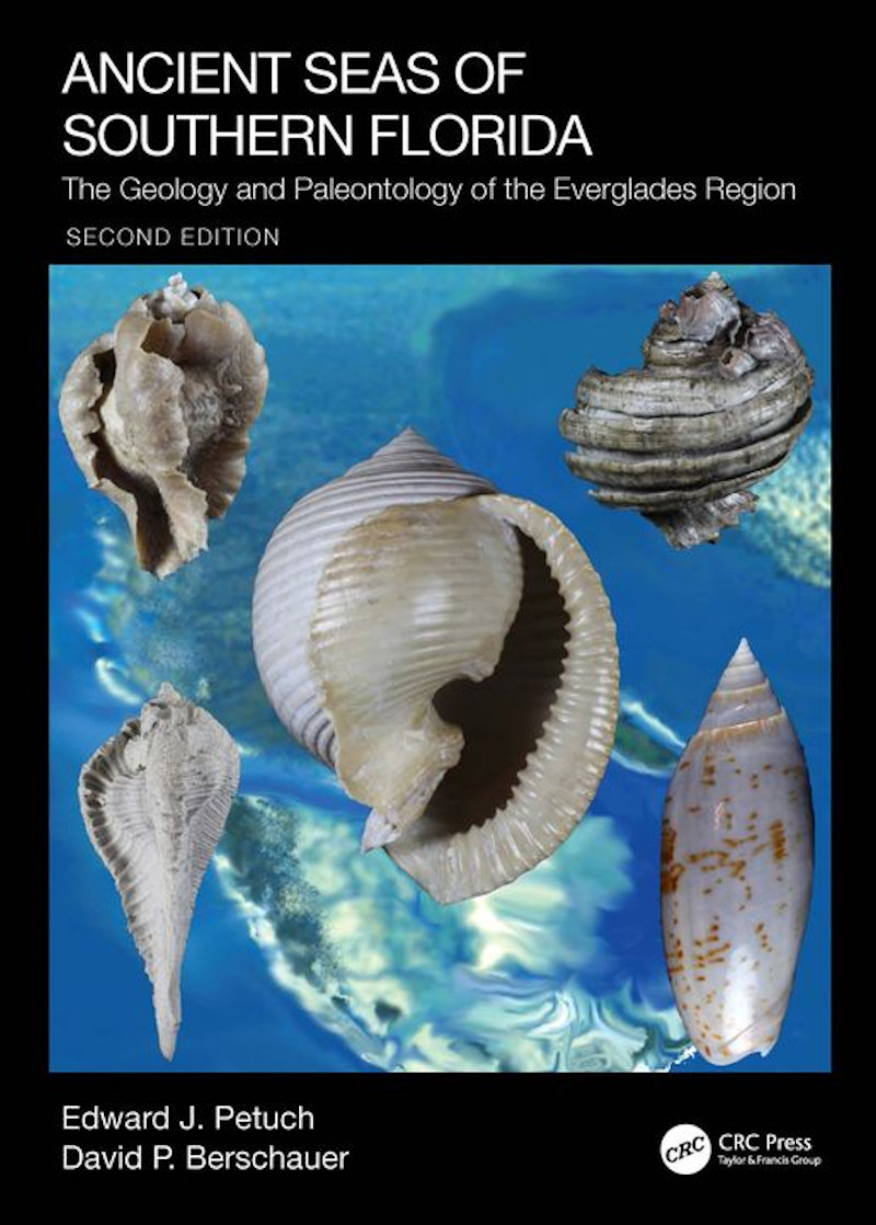 (image for) Worldwide Shell & Fossil Books